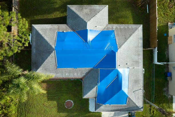 Best Asphalt Shingle Roofing  in Crothersville, IN
